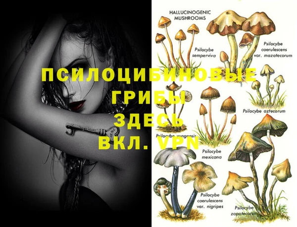 бошки Алзамай