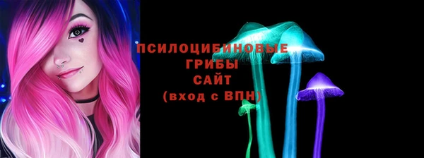 соль ск Алексеевка