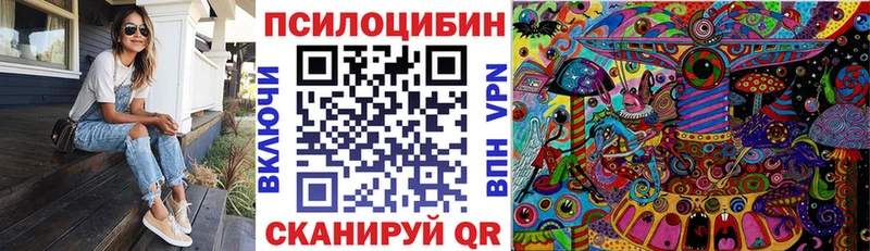Псилоцибиновые грибы Cubensis Невинномысск